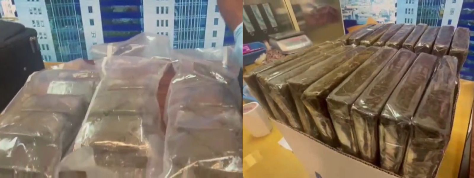 Canadian Nabbed At BIA Over Rs. 200 Mn Drug Bust